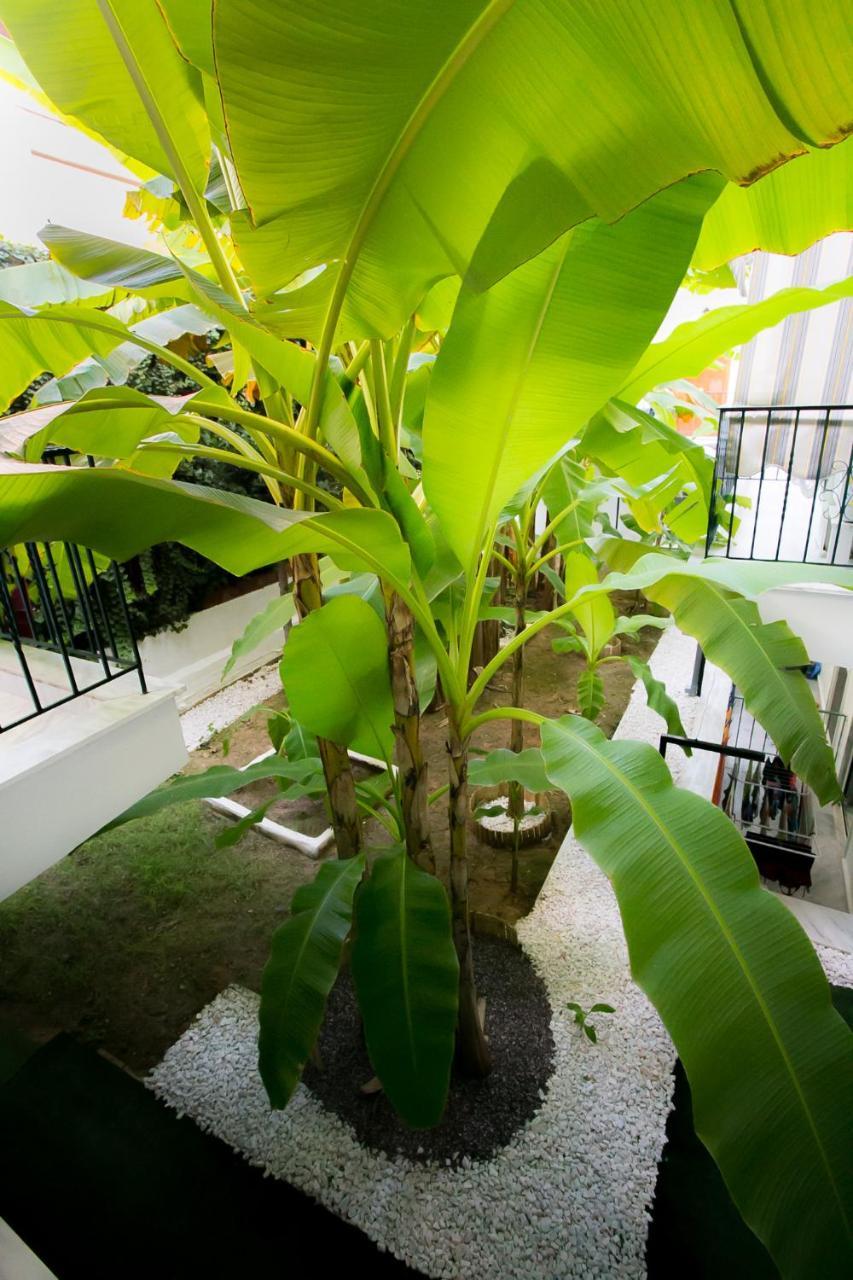 فلوغيتا Panorama Apartments المظهر الخارجي الصورة